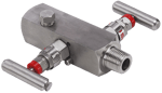 main_IM_Model_377CB_2_Valve_Manifold.png